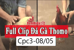 Full video đá gà bồ Campuchia CPC3