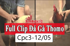 Full trận đá gà CPC3 Thomo